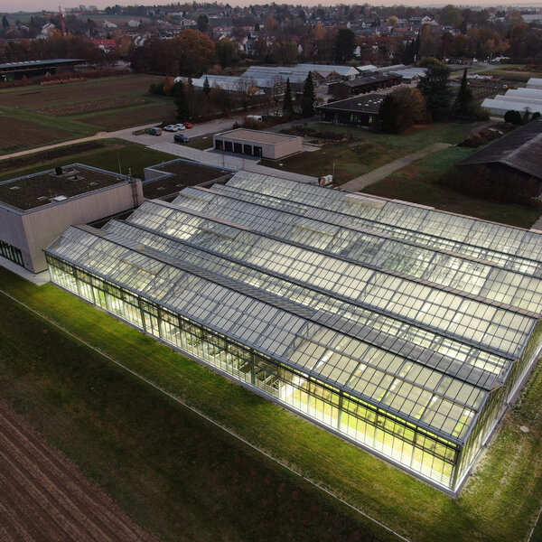 Foto: Luftaufnahme eines großen, beleuchteten Gewächshauses bei Dämmerung. Das Gebäude ist von landwirtschaftlichen Flächen umgeben, mit mehreren kleineren Gebäuden im Hintergrund.