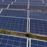Foto: Eine große Anzahl von Solarmodulen ist auf einem begrünten Dach installiert. Im Hintergrund sind Bäume und ein Gebäude sichtbar, was auf eine umweltfreundliche Umgebung hinweist.