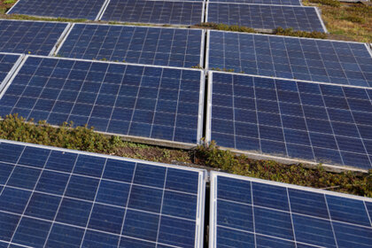 Foto: Eine große Anzahl von Solarmodulen ist auf einem begrünten Dach installiert. Im Hintergrund sind Bäume und ein Gebäude sichtbar, was auf eine umweltfreundliche Umgebung hinweist.