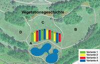 Infografik: Eine Karte zeigt verschiedene Vegetationsvarianten in einem Landschaftsbereich. Die Legende unten rechts erklärt die Farben: Grün für Variante 1, Gelb für Variante 2, Rot für Variante 3 und Blau für Variante 4.