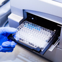 Foto: Eine Person mit blauen Handschuhen hält eine Mikrotiterplatte und platziert sie in ein Laborgerät. Die Platte hat mehrere Reihen von Vertiefungen, die für Experimente verwendet werden.