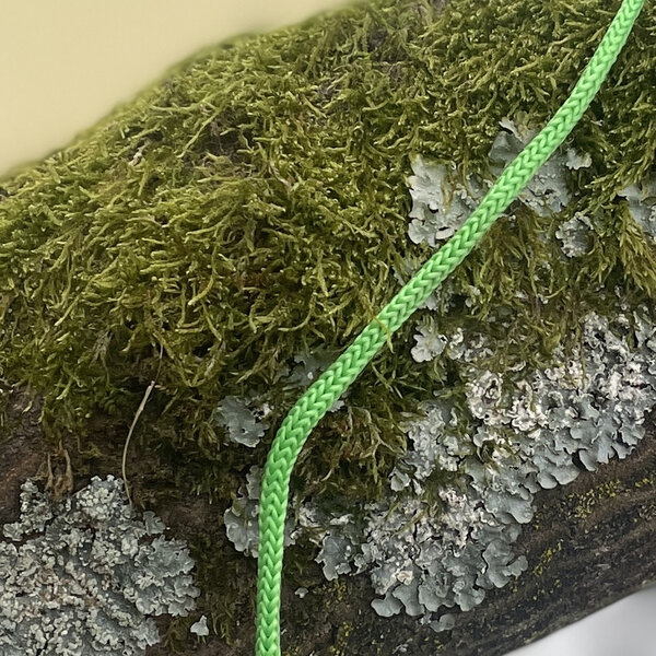 Foto: Ein moosbewachsener Ast mit Flechten und einem grünen Seil, das darüber hängt. Im Hintergrund ist ein unscharfes Fenster zu sehen.