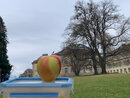 Foto: Ein Apfel liegt auf einer Lunchbox vor dem Schloss Hohenheim. Im Hintergrund sind ein großer Baum und das historische Gebäude zu sehen.