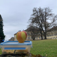 Foto: Ein Apfel liegt auf einer Lunchbox vor dem Schloss Hohenheim. Im Hintergrund sind ein großer Baum und das historische Gebäude zu sehen.