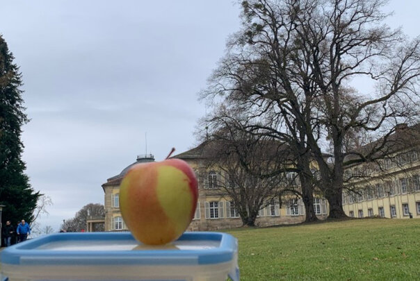 Foto: Ein Apfel liegt auf einer Lunchbox vor dem Schloss Hohenheim. Im Hintergrund sind ein großer Baum und das historische Gebäude zu sehen.