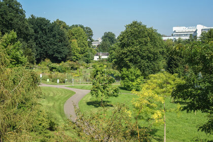 Foto: Eine grüne Landschaft mit einem geschwungenen Weg, umgeben von zahlreichen Bäumen und Pflanzen. Im Hintergrund sind Gebäude sichtbar. Der Himmel ist klar und blau.