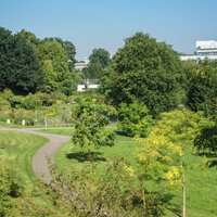 Foto: Eine grüne Landschaft mit einem geschwungenen Weg, umgeben von zahlreichen Bäumen und Pflanzen. Im Hintergrund sind Gebäude sichtbar. Der Himmel ist klar und blau.