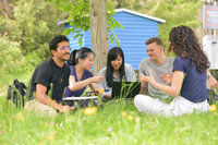 Foto: Eine Gruppe von Personen sitzt im Gras unter einem Baum und arbeitet gemeinsam an einem Laptop. Im Hintergrund ist ein blaues Gebäude sichtbar. Die Umgebung ist grün und natürlich.