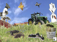 Illustration: Eine Collage zeigt verschiedene Insekten, darunter Lagererzwespen, vor einem Traktor auf einer Wiese. Ein Glas mit der Aufschrift 'HOHENHEIMER RUND' und 'Lagererzwespen' ist sichtbar. Ein Logo mit 'Umweltpreis' ist unten rechts.