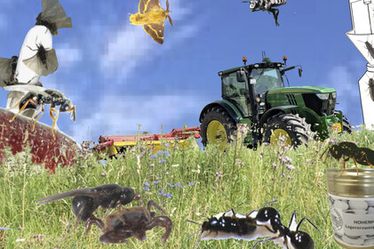 Illustration: Eine Collage zeigt verschiedene Insekten, darunter Lagererzwespen, vor einem Traktor auf einer Wiese. Ein Glas mit der Aufschrift 'HOHENHEIMER RUND' und 'Lagererzwespen' ist sichtbar. Ein Logo mit 'Umweltpreis' ist unten rechts.