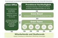 Infografik: Darstellung der Nachhaltigkeitsstrukturen an der Universität Hohenheim. Zeigt Green Office, Prorektorat Nachhaltigkeit, Green Board und Green Teams mit ihren jeweiligen Funktionen und Verbindungen.