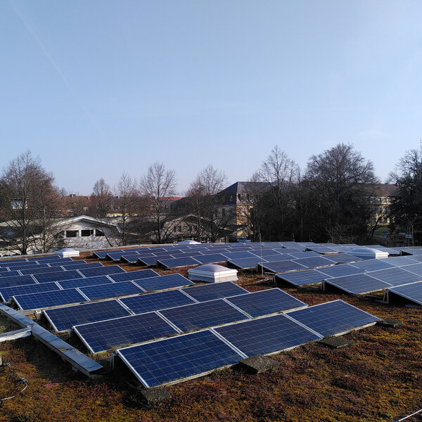 Foto: Eine große Anzahl von Solarpaneelen ist auf einem begrünten Dach installiert. Im Hintergrund sind Bäume und Gebäude sichtbar, die einen klaren Himmel umrahmen.