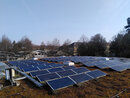Foto: Eine große Anzahl von Solarpaneelen ist auf einem begrünten Dach installiert. Im Hintergrund sind Bäume und Gebäude sichtbar, die einen klaren Himmel umrahmen.