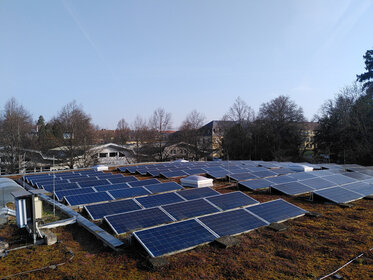 Foto: Eine große Anzahl von Solarpaneelen ist auf einem begrünten Dach installiert. Im Hintergrund sind Bäume und Gebäude sichtbar, die einen klaren Himmel umrahmen.