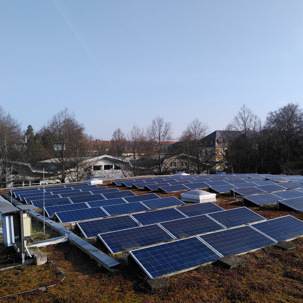 Foto: Eine große Anzahl von Solarpaneelen ist auf einem begrünten Dach installiert. Im Hintergrund sind Bäume und Gebäude sichtbar, die einen klaren Himmel umrahmen.
