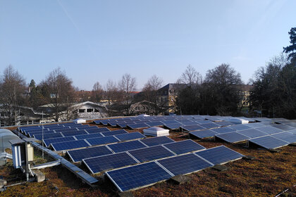 Foto: Eine große Anzahl von Solarpaneelen ist auf einem begrünten Dach installiert. Im Hintergrund sind Bäume und Gebäude sichtbar, die einen klaren Himmel umrahmen.