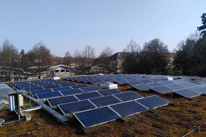 Foto: Eine große Anzahl von Solarpaneelen ist auf einem begrünten Dach installiert. Im Hintergrund sind Bäume und Gebäude sichtbar, die einen klaren Himmel umrahmen.