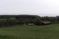 Foto: Eine ländliche Landschaft mit grünen Wiesen, einem Bauernhof und einem dichten Wald im Hintergrund. Ein Zaun verläuft im Vordergrund, und mehrere Gebäude sind zwischen den Bäumen sichtbar.